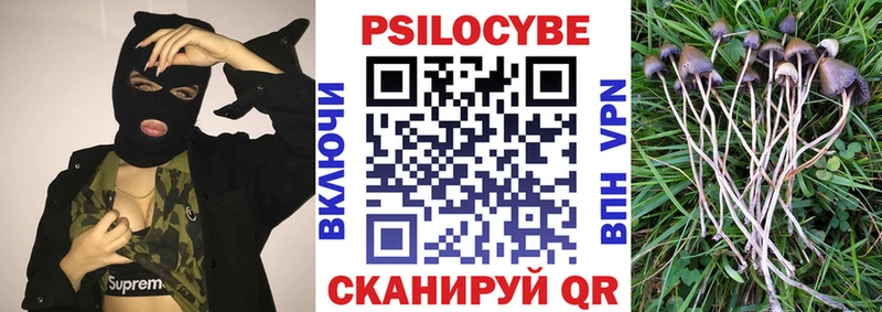 hydra сайт  Полярные Зори  Псилоцибиновые грибы мухоморы 